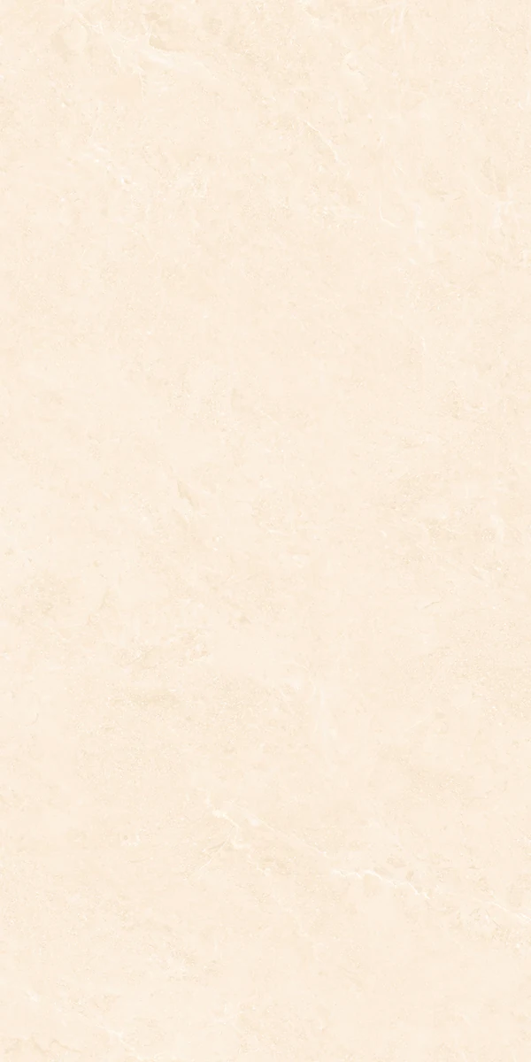 Mặt gạch BM-G61205P1 — góc 4 — 600x1200mm